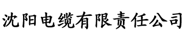 香蕉视频app你懂的电缆厂logo